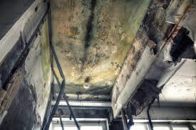 Mold Remediation for Rental Properties in Ocean City, NJ